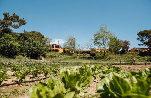 Las HORTENSIAS casa rural en el campo - Foto 5