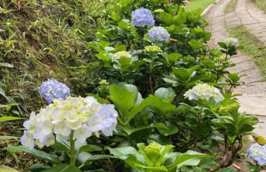 Hotel Fazenda Bonanza - Foto 72