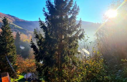 Waldhaus zum gechillten Hirsch in der Natur, bei der Moseltherme Traben-Trarbach - Foto 30