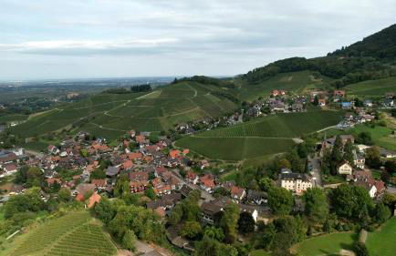 Renatas Ferienwohnung Wohnung David - Foto 40