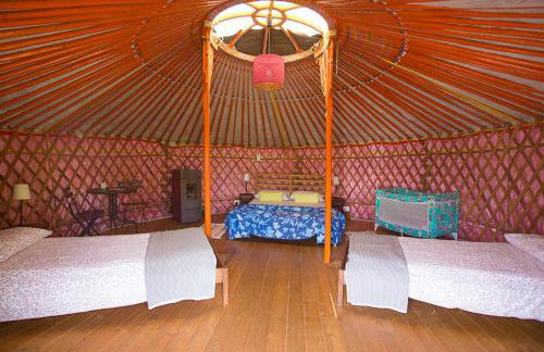 Società Agricola Cacigolara - Photo 39