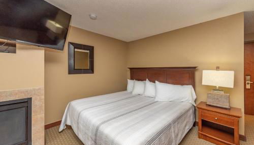 A214 Studio Standard View - Foto 3