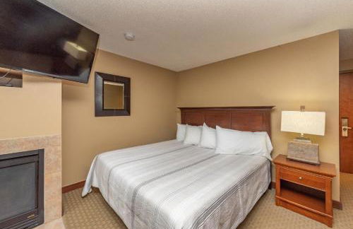 A214 Studio Standard View - Foto 3