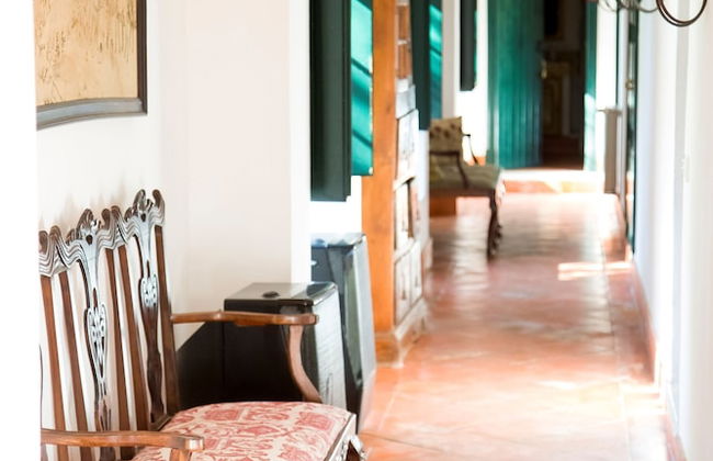 Moinho do Álamo - Foto 2