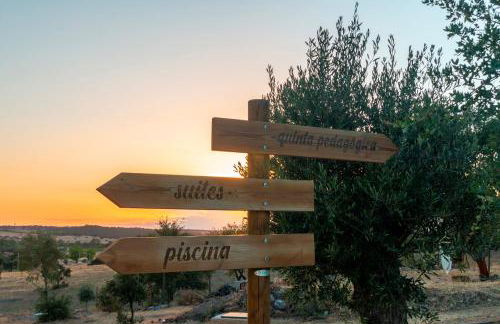 Reflexos D'Alma Turismo Rural - Foto 36