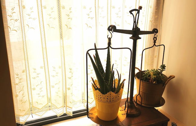 Frutas do Mar apartamento - Foto 21