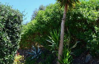 Sobremesa Boutique - Foto 41