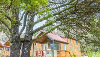 Rainforest Tiny Home Retreat Retro - Foto 2