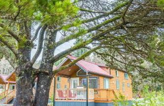 Rainforest Tiny Home Retreat Retro - Foto 2