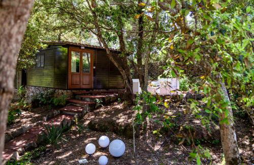 Casa Saltara - Foto 28