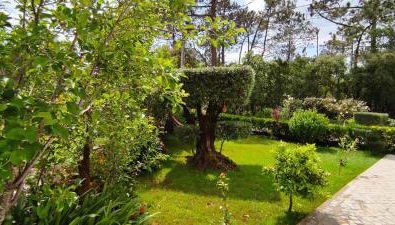 Casa Dos Vales 11 - Foto 4, Garden