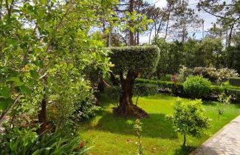 Casa Dos Vales 11 - Foto 4