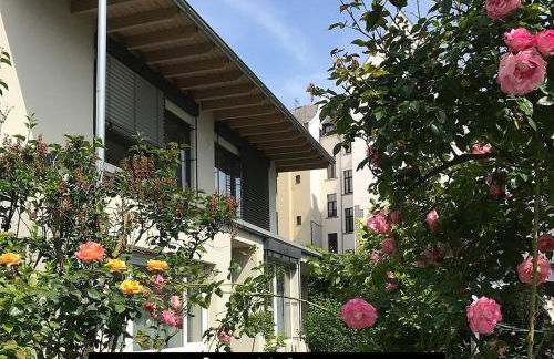 Stadtoase Koblenz - Foto 2