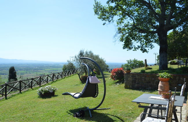 A spasso tra gli ulivi - Foto 6