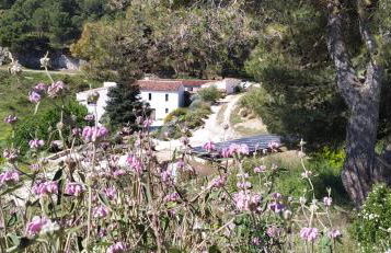 Finca Las Morenas - Foto 11