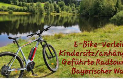 Traumblick Bayerischer Wald, Pool & Sauna, Getränke, Klimaanlage - Foto 22