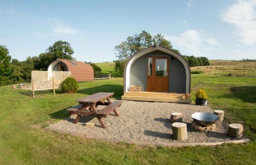 Wild Northumberland Glamping - Foto 54
