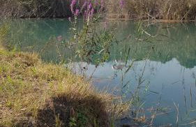 RichMarHome - Foto 63