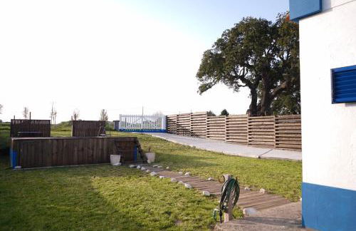 HERDADE PALMA t2 - Foto 45