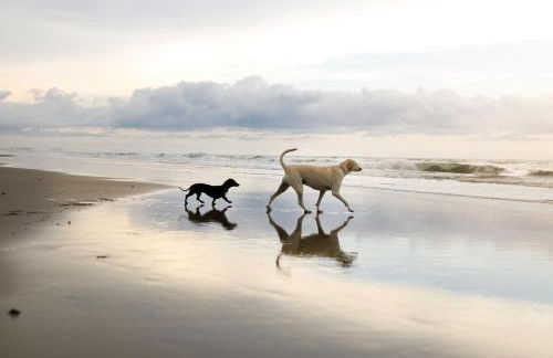 Puddleduck Cottage - Part of the The Bay Filey Holiday Village with pool, gym and direct beach access, pub, restaurant, tennis and meadows walks - Foto 44