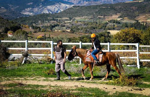 Ermis Katafigio - Photo 23