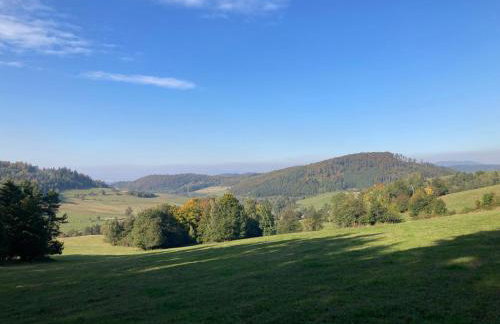 Na Piotrowickiej Przełęczy - Foto 62