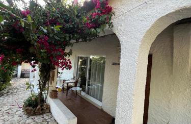 Lugar das Andorinhas - Foto 34