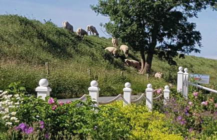 Haushaelfte A Heini ID 431 - Foto 8