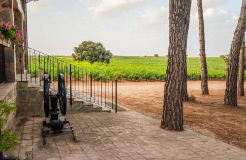 Casa Rural en Bodega. La posada de Vitis - Foto 37