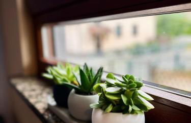 Apartment in Taucha for short & long stays - Foto 13