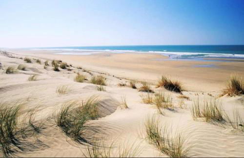 Golf Saint Cyprien ground floor 2 bedrooms Apartment with terrace - Photo 50