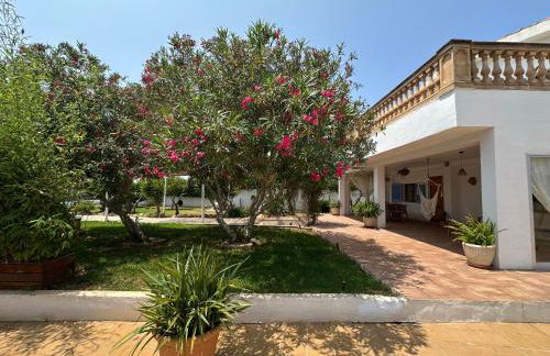 Eco Finca Sa Font Blava - Foto 39