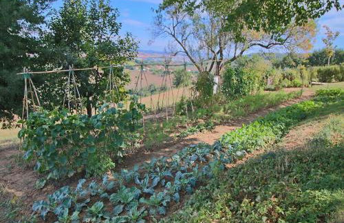 Cottage in Montelabbate With Pool, Garden, Bbq, Parking - Photo 104