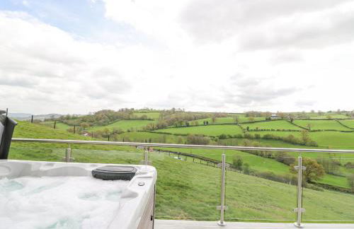 Barcud Coch - Red Kite - Photo 33