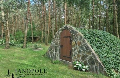 Siedlisko Janopole - Foto 65