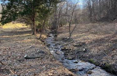 Three Springs Plus - Foto 8