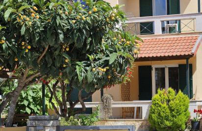 Lora Apartments & Studios with Balcony in Ipsos Corfu - Photo 18