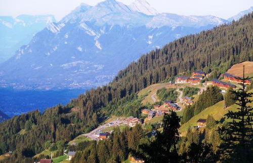 Le Chalet de Bisanne - Foto 53