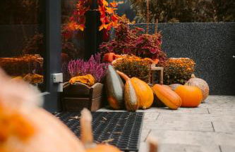 Żurawia Ostoja Dom z Jacuzzi i Sauną - Foto 17