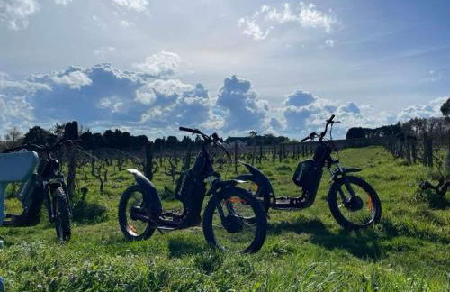 Domaine de Fontenay - Foto 54