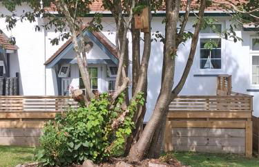 Bluebell Cottage - Photo 3