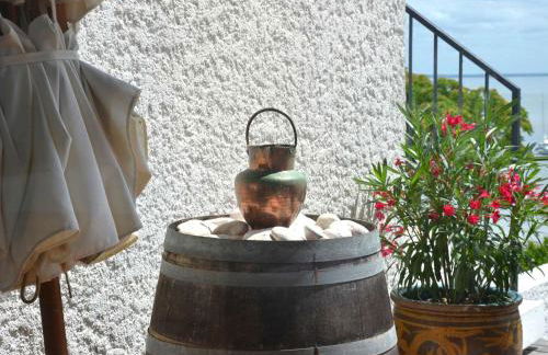 Grande villa avec jacuzzi à La Pointe aux Chevaux - FR-1-736-23 - Photo 12