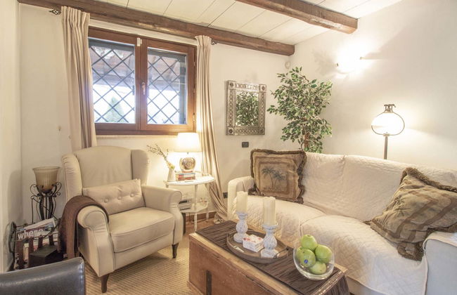 Olive Grove Sabina - Foto 12