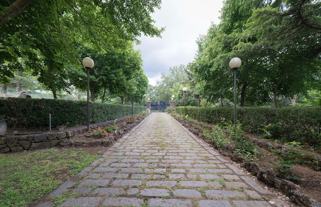 Il Castagno dell'Etna - Foto 71