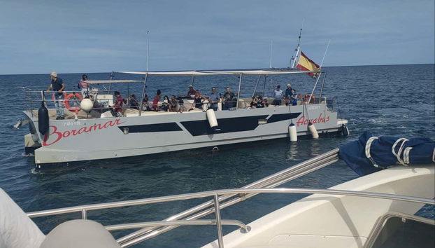 Catamaran Trip in Gandia - Foto 4