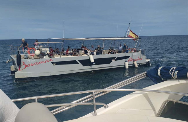 Catamaran Trip in Gandia - Photo 4