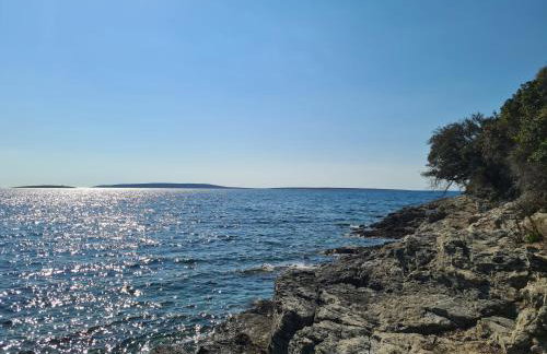 Apartment Salvia - Stivan, Cres - 900 m to Merascica beach - Foto 25