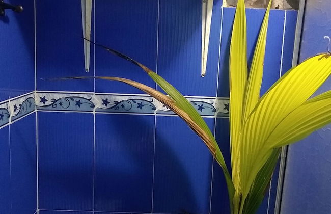 Room in Guest Room - Green Sea Inn San Luis Harmony Hall Hill - Foto 5