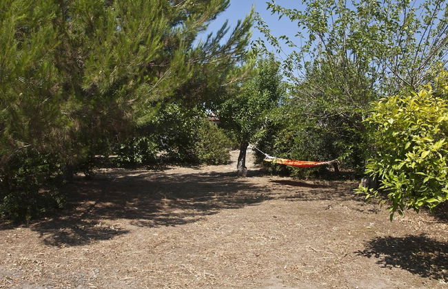 VilleSalento - Spiaggiabella M700 - Foto 31