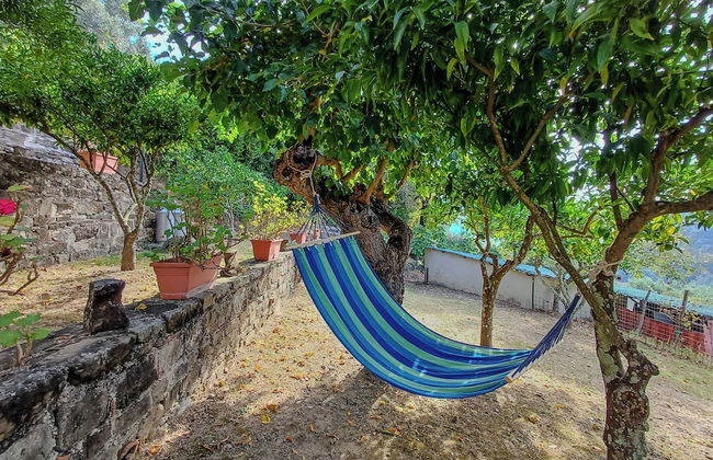 Casale storico nella campagna cilentana - Foto 52